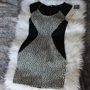 Express dress
